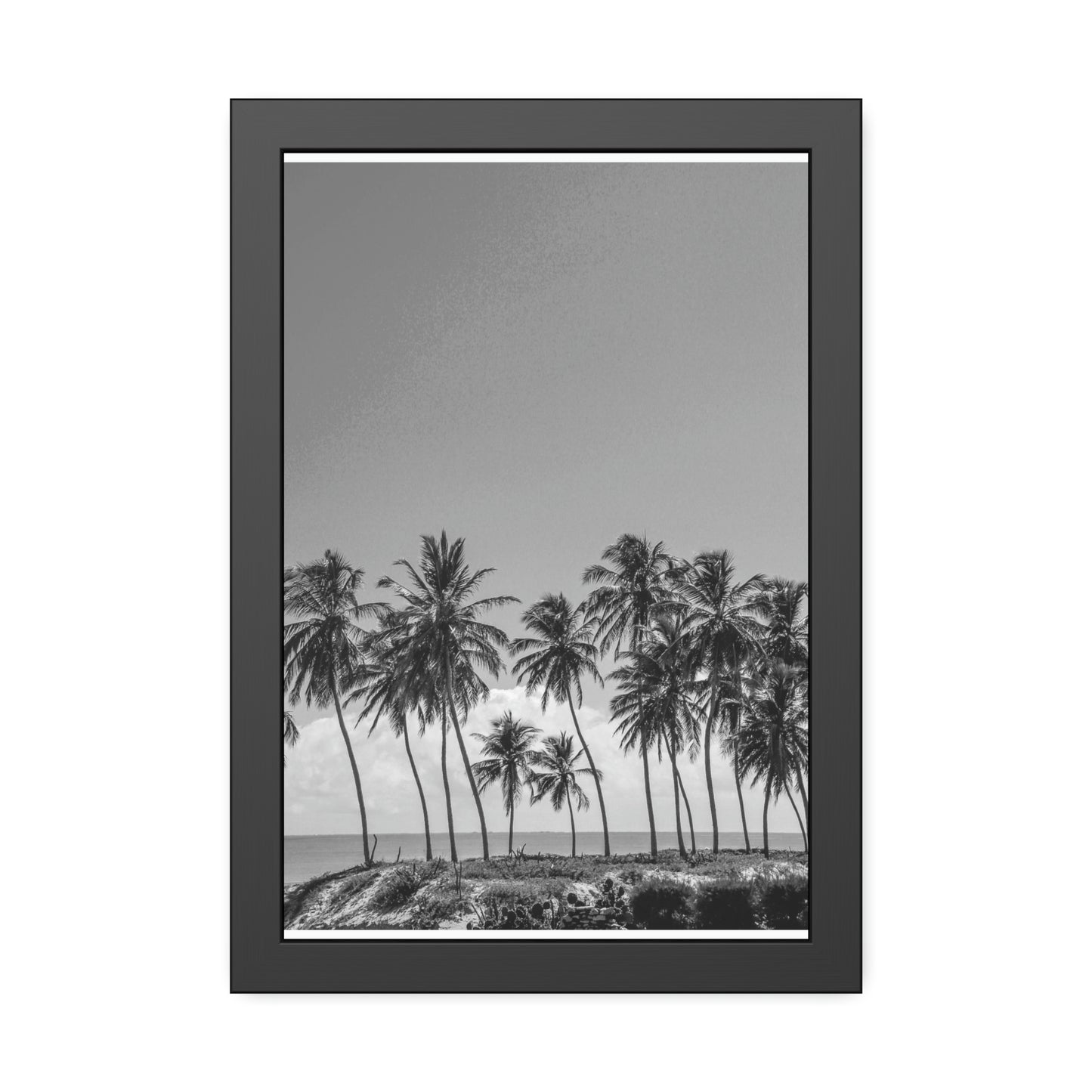 Palm Views